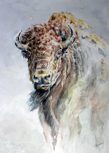 Prairie Bachelor buffalo watercolor