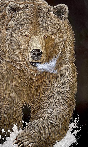 Breaking Trail bear scratchboard art